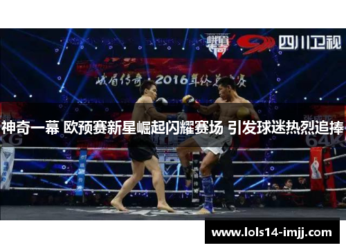 神奇一幕 欧预赛新星崛起闪耀赛场 引发球迷热烈追捧