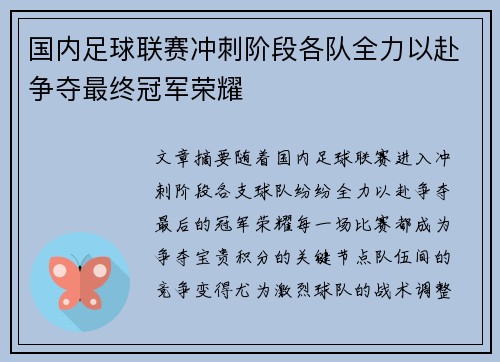 国内足球联赛冲刺阶段各队全力以赴争夺最终冠军荣耀