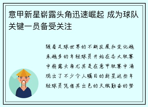 意甲新星崭露头角迅速崛起 成为球队关键一员备受关注